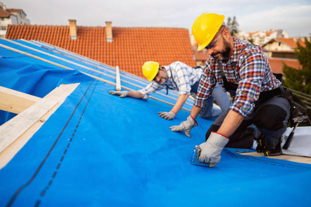 Best Flat Roof Repair Services  in Madison, NE
